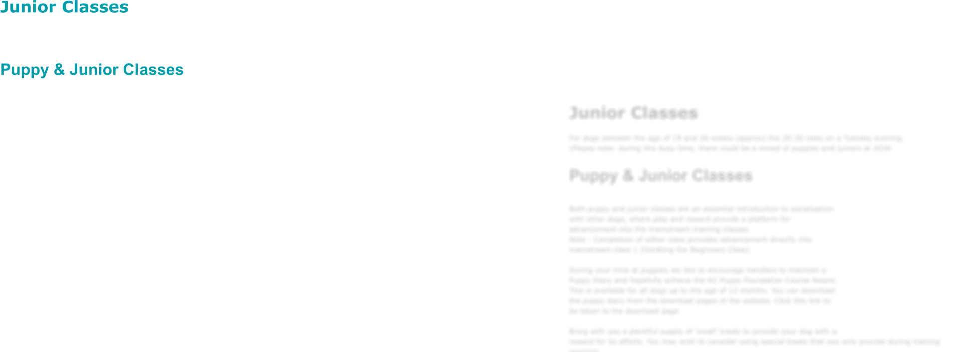 Junior Classes   For dogs between the age of 19 and 26 weeks (approx) the 20:30 class on a Tuesday evening.(Please note: during this busy time, there could be a mixed of puppies and juniors at 2030    Puppy & Junior Classes  Both puppy and junior classes are an essential introduction to socialisation with other dogs, where play and reward provide a platform for advancement into the mainstream training classes. Note - Completion of either class provides advancement directly into mainstream class 1 (Omitting the Beginners Class)  During your time at puppies we like to encourage handlers to maintain a Puppy Diary and hopefully achieve the KC Puppy Foundation Course Award. This is available for all dogs up to the age of 12 months. You can download the puppy diary from the download pages of the website. Click this link to be taken to the download page   Bring with you a plentiful supply of 'small' treats to provide your dog with a reward for its efforts. You may wish to consider using special treats that you only provide during training sessions.  Bring also a small toy to use during the classes - But no squeekies please - Too much of a distraction to all the dogs !
